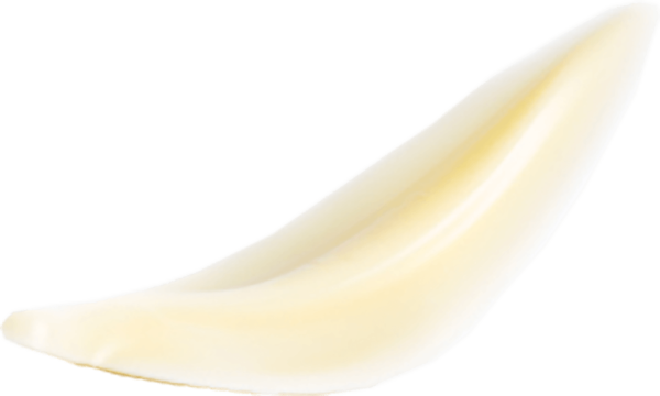 CURVY ELEGANCE WHITE (White Choc Feather)